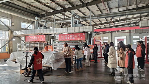 福庆孕婴板绿色工厂开放日 领略品质工艺,守护孕婴未来