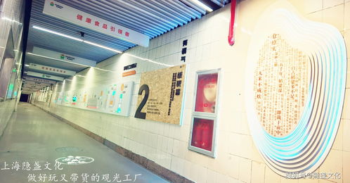 解读千年炒饭文化,浙江海通食品集团炒饭观光工厂