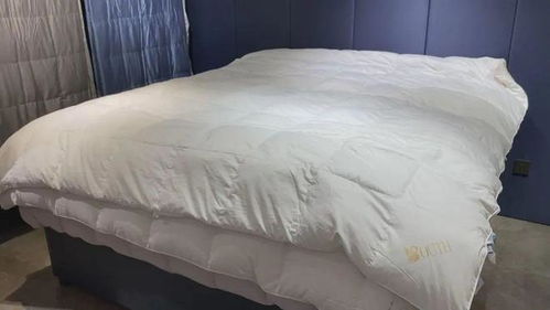 双十一 消费季火热开启,金山准备好了吗