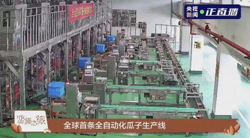 产品 营销 渠道多维发力,坚果之王洽洽靠什么加冕