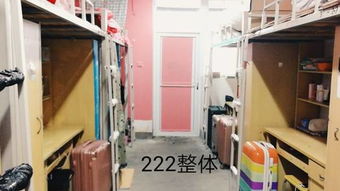 食品营养系 无烟寝室 活动总结