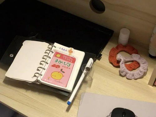 一室一品特色寝室投票开始啦