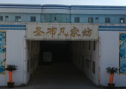 三八 妇女节 市妇联发布5项公益项目,大会推荐5位丹阳巾帼事迹 还有一朵盛开的圣罗兰 丹阳巾帼刘腊梅